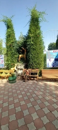 СТАНДАРТ 4-Х МЕСТНЫЙ